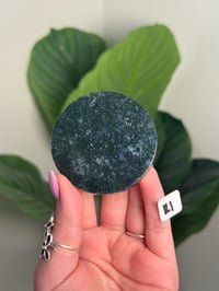 Image 18 of CHOOSE YOUR OWN MOSS AGATE DISK -INDIA- LOT 1