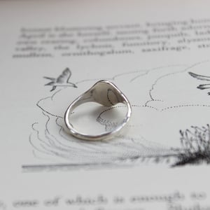 Image of small anchor signet ring