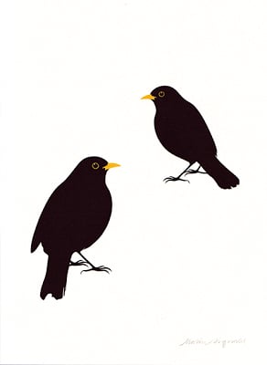 Image of Blackbird no2