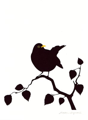 Image of Blackbird no3