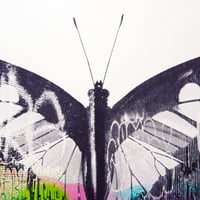 Image 3 of Graffiti Butterfly