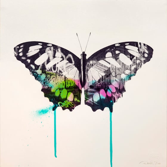 Image of Graffiti Butterfly