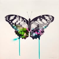 Image 1 of Graffiti Butterfly