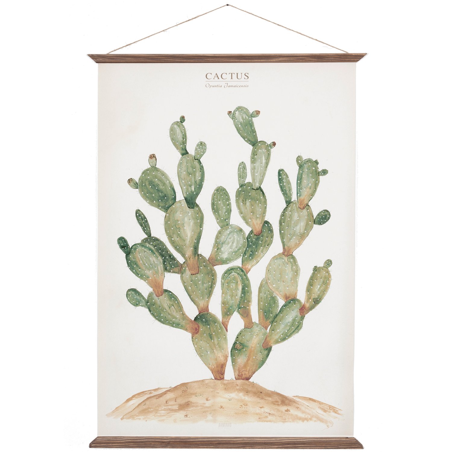 Image of Cactus Canvas Poster - Opuntia