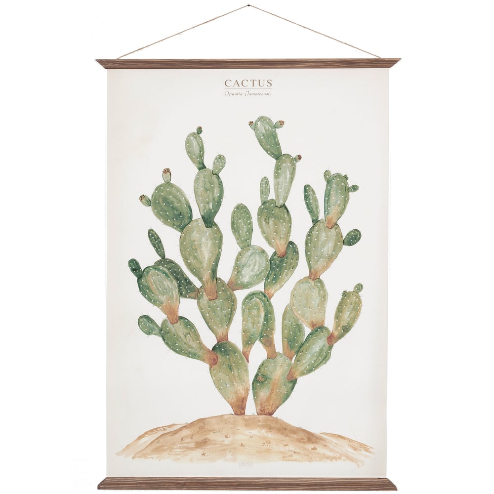 Image of Cactus Canvas Poster - Opuntia