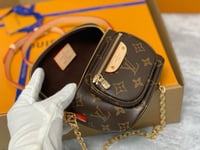 Image 12 of LV Mini Bumbag