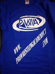 Image of PWA Traditional Blue Tshirt