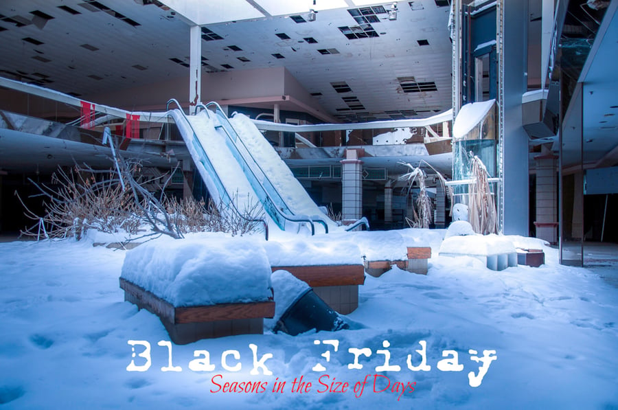 Image of Black Friday-Seasons in the Size of Days (eBook)
