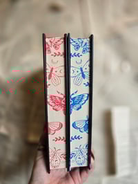 Image 4 of Kristen Ciccarelli | The Crimson Moth Duo | Hardback 