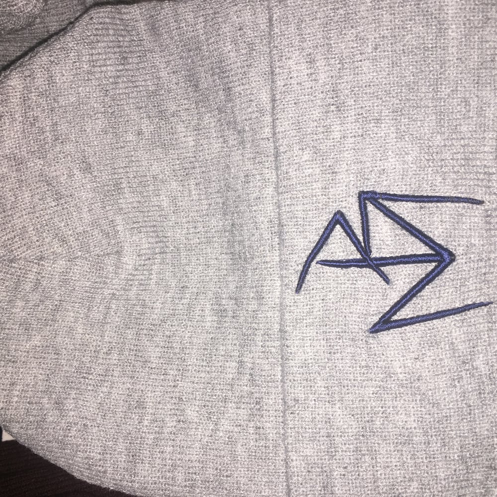 Image of America's Mind