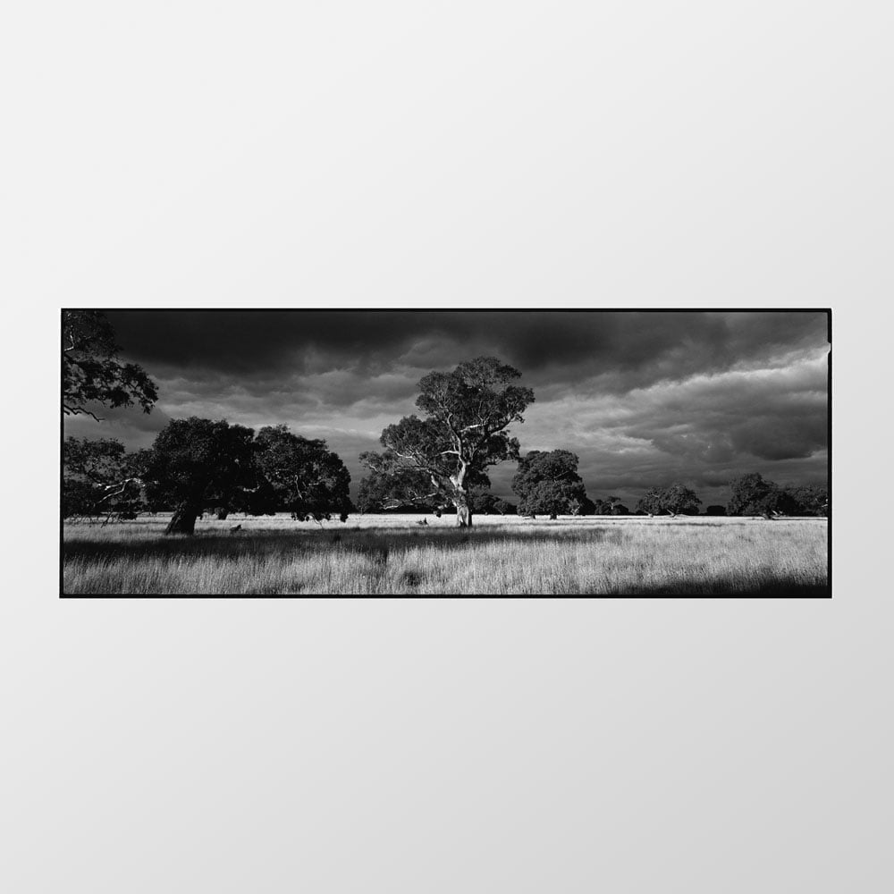 Richardcrawley — Late summer evening, Dunkeld, 2004 – Limited edition ...