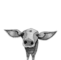 Image 1 of Big Cow