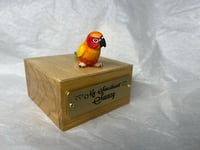Image 9 of Custom Engraved Sunrise Conure Bird Mini Urn Pet Portrait To Your Photos