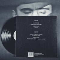 Image 2 of PROCRASTINATION vinyl (2013)