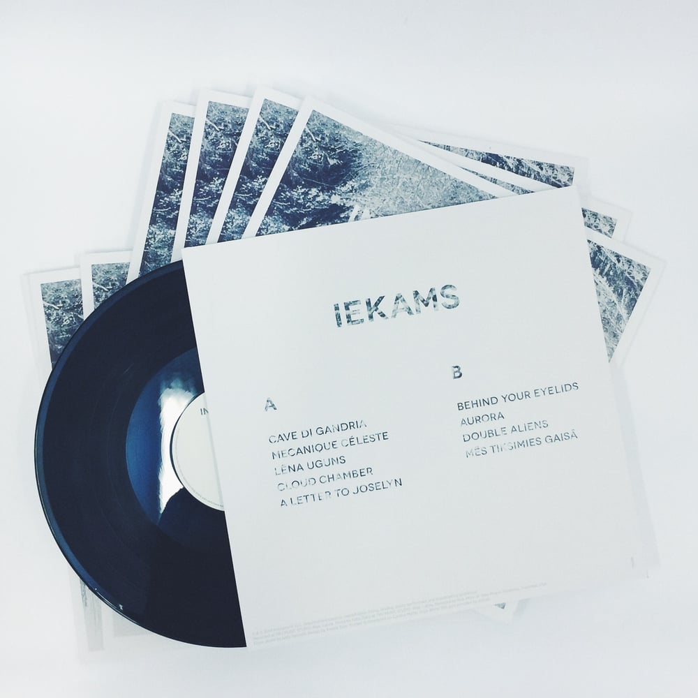 Image of IEKAMS vinyl (2014)