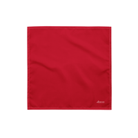 Red Handkerchief