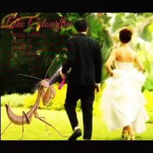 Image of The Colourflies "Been There, Seen It, Lived It, Licensed It" CD