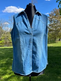 Image 2 of XL Kitten Vest Button Down