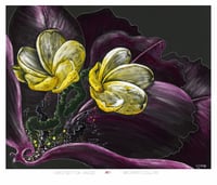 Image 2 of Orchid For Angie FINE ART PRINT