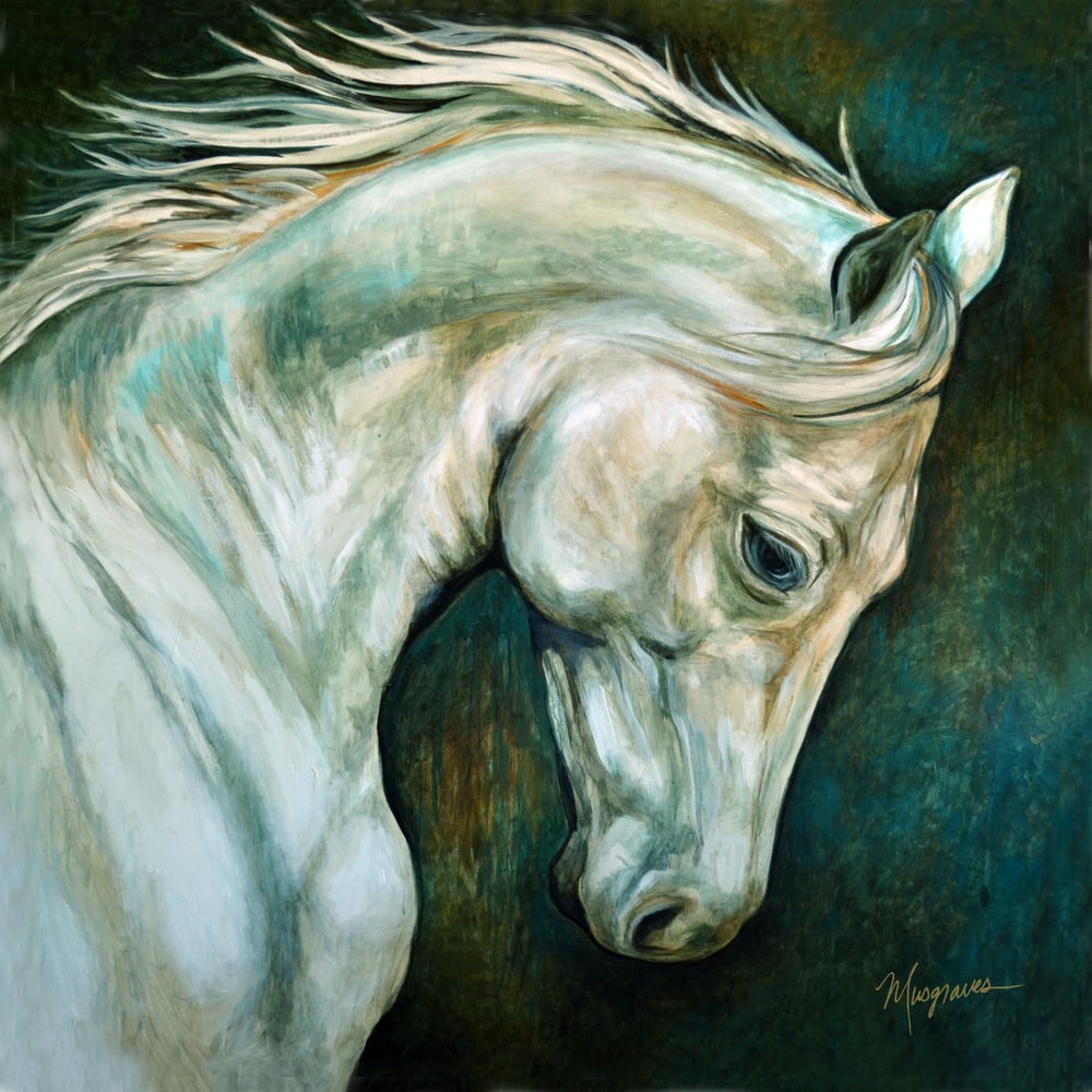 Image of "White Stallion" Gicleé