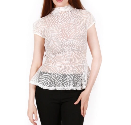 Image of Rue Mesh Turtle Neck Top