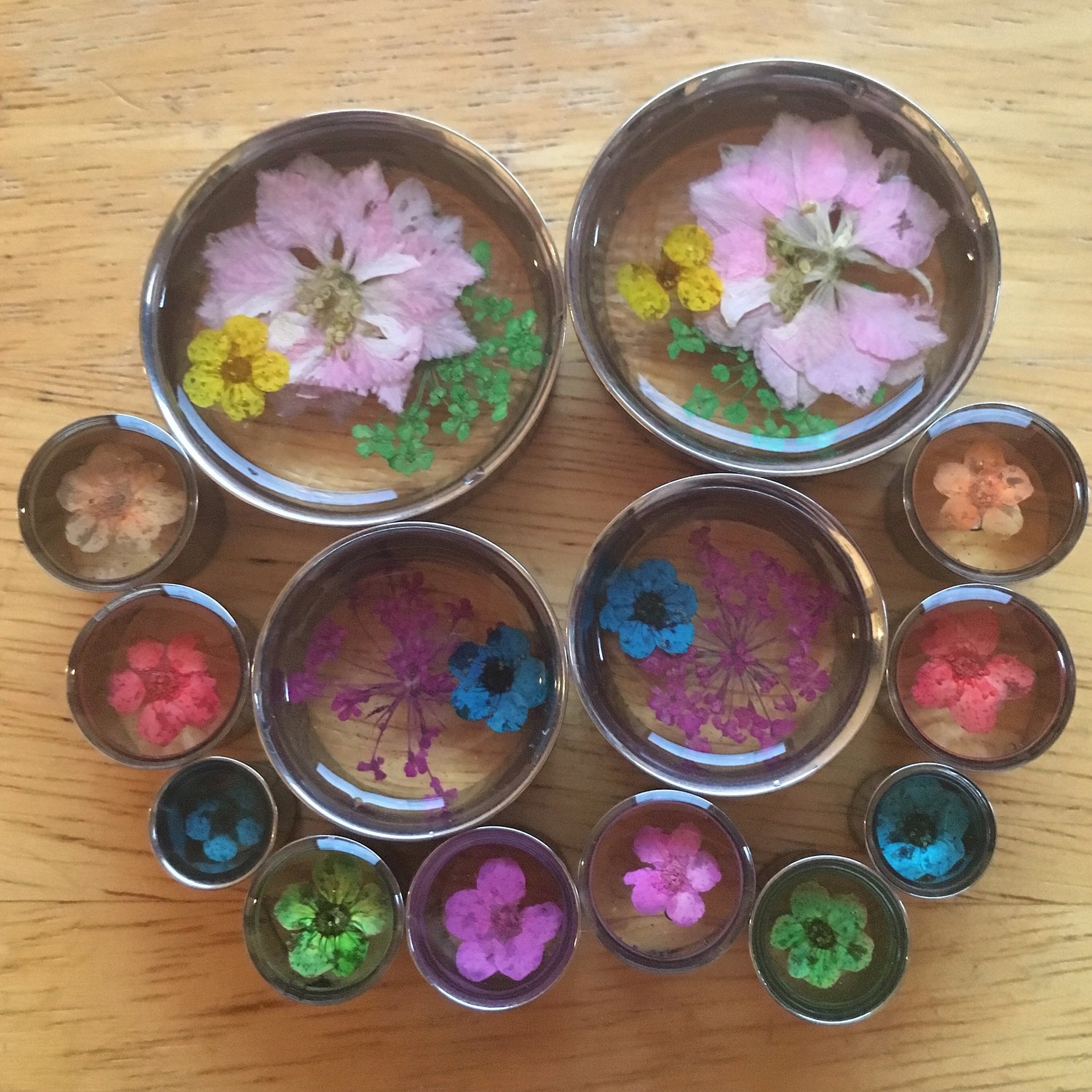 Image of Real Pressed Flower Plugs (sizes 0g-2")