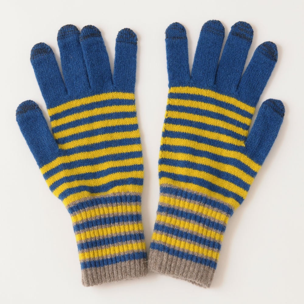 Image of Stripe Gloves (large) in Blue x Yellow