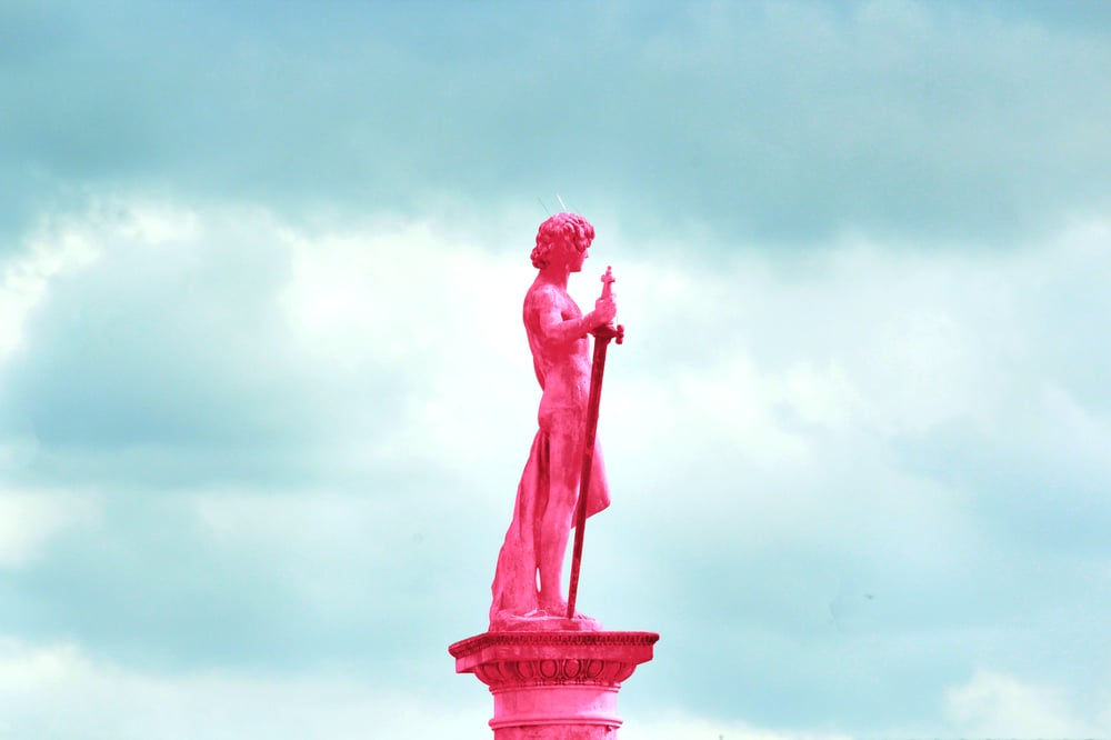 Image of Pink Pari