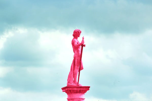 Image of Pink Pari