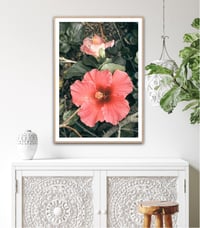 Image 1 of Hibiscus fine art photograph 