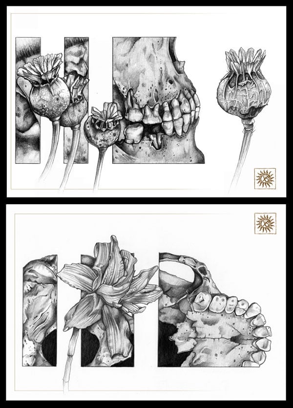 Image of Skull Flowers - Set of 2 prints.