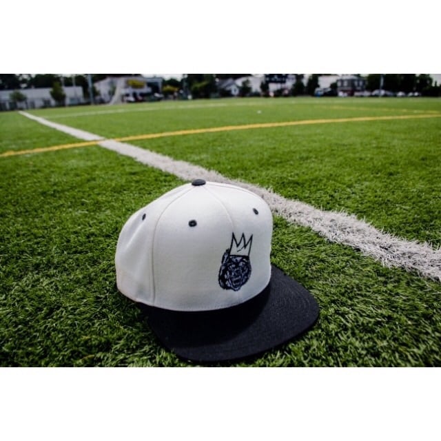 Image of SAMOWOLF SNAPBACK (multiple color ways)