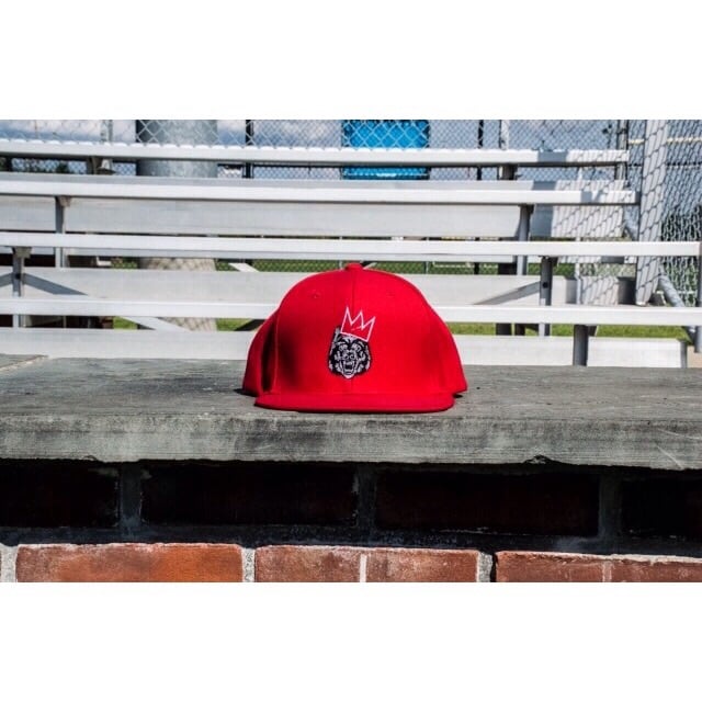 Image of SAMOWOLF SNAPBACK (multiple color ways)