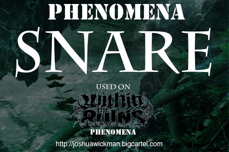 Image of Phenomena Snare
