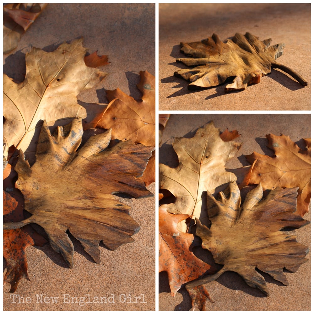 Image of Wooden Maple Leaf