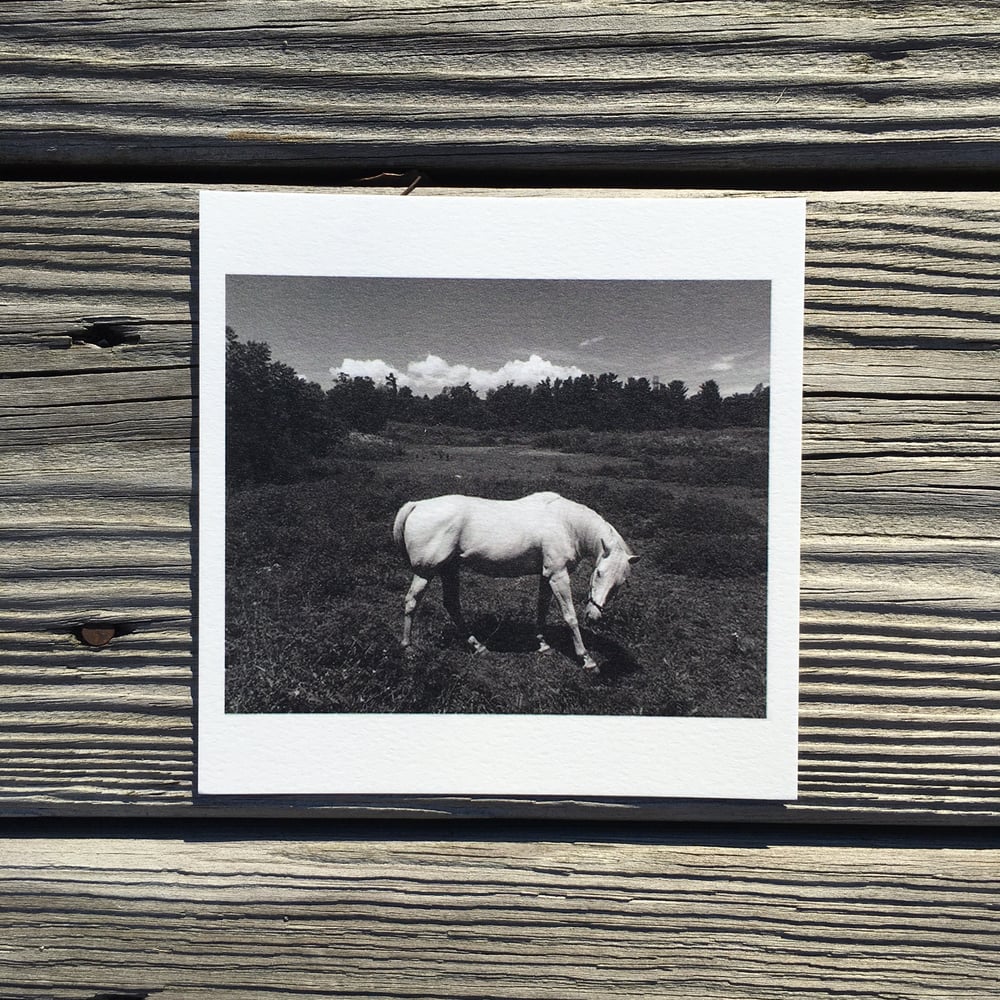 Image of Cloud and Horse