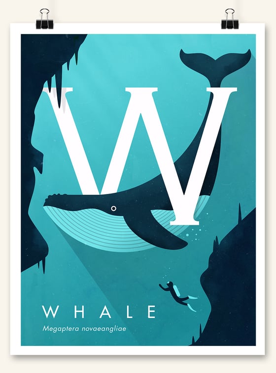 Image of Whale