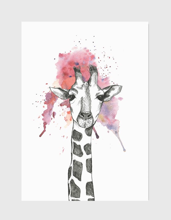 Image of Giraff