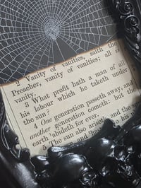 Image 3 of Memento Mori collection 1800s Bible cut outs in a grim reaper frame - real preserved spider web
