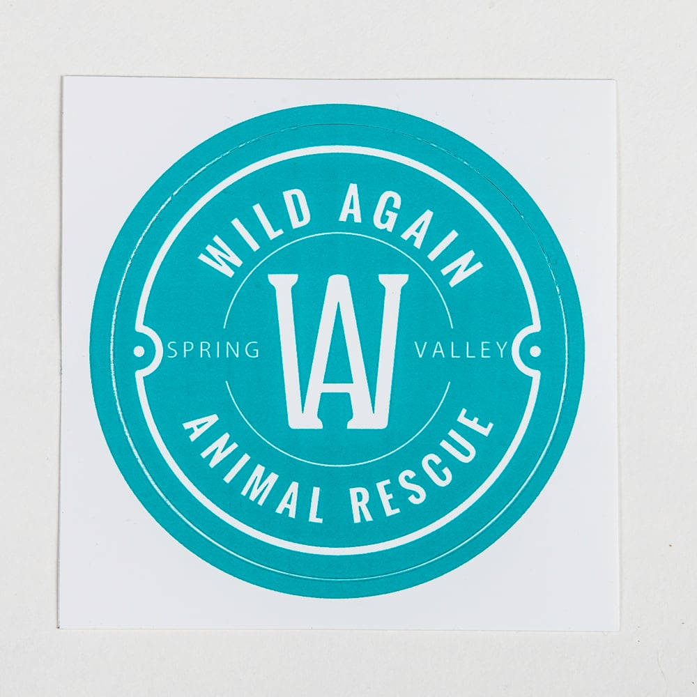 Image of Wild Again Sticker - Turquoise 