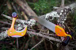 Image of RAPTOR RAZOR - GAME SKINNERS