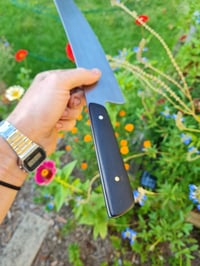 Image 3 of monster chef