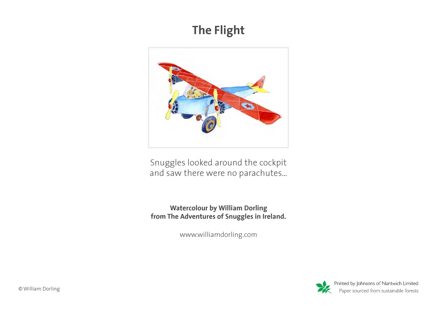 Image of The Flight