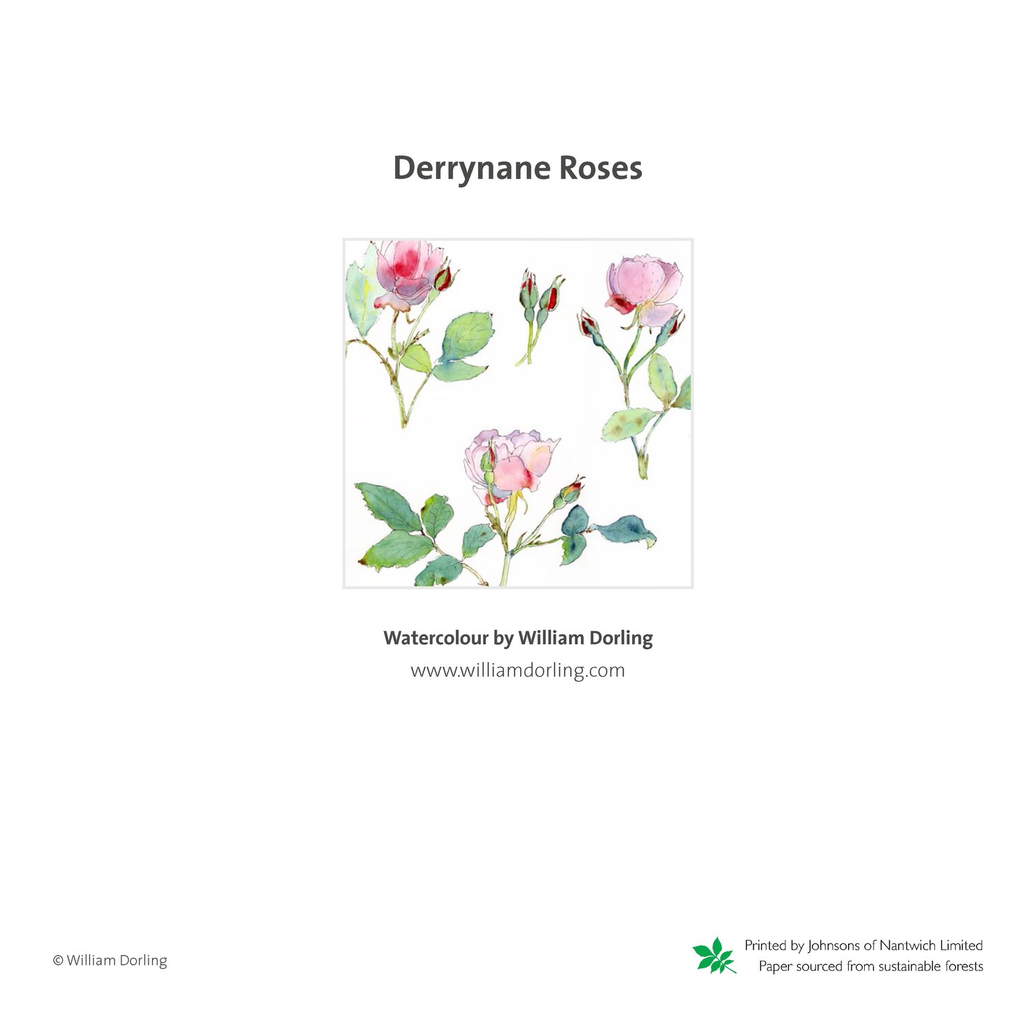 Image of Derrynane Roses