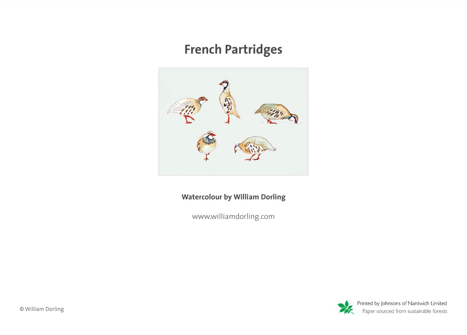 Image of French Partridges