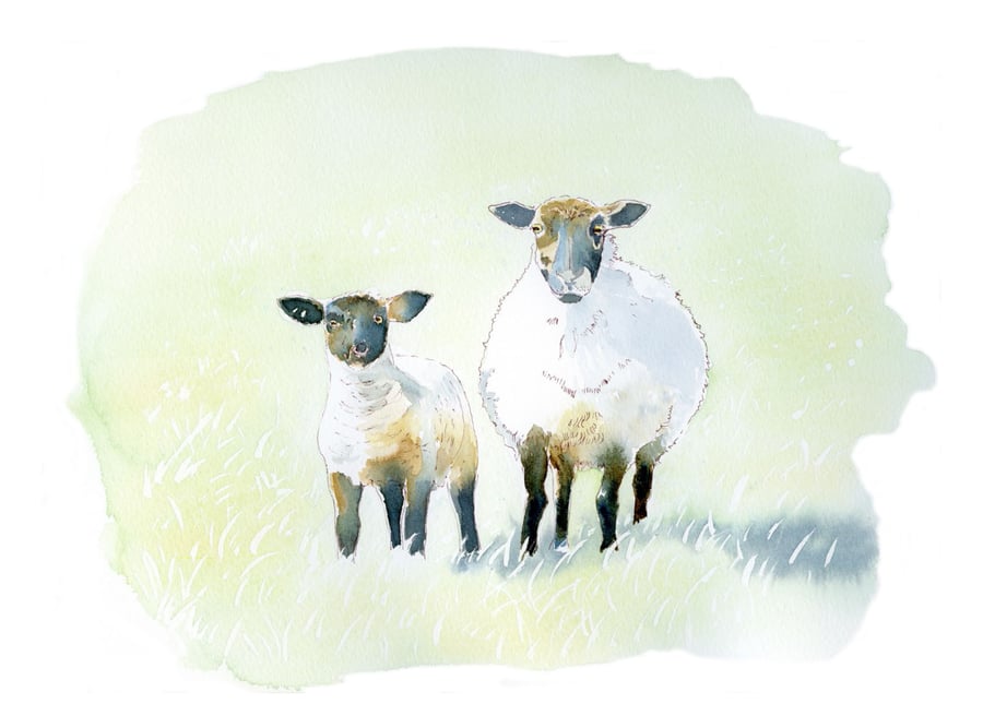 Image of Lamb & Ewe - Do we know you?