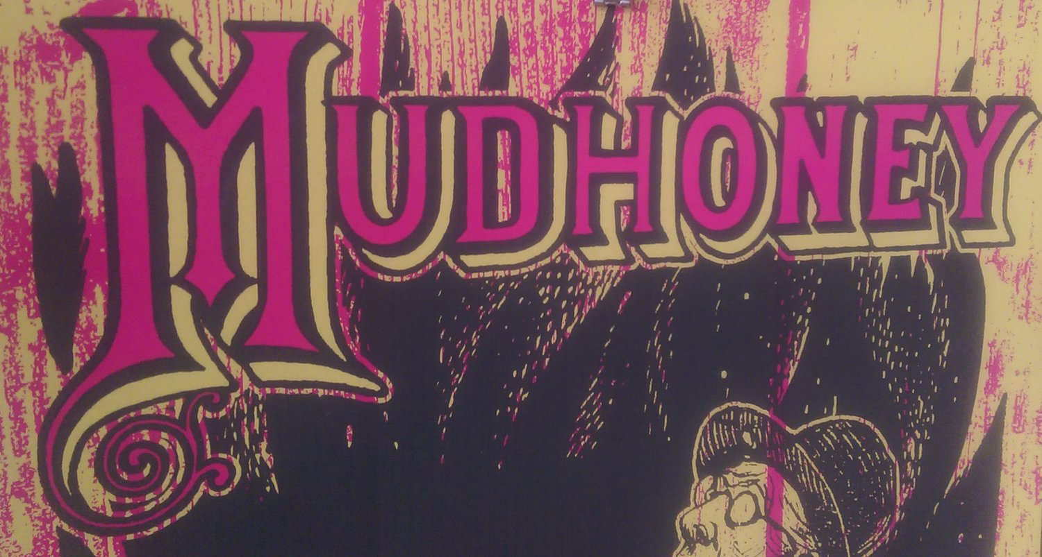 Image of Mudhoney - May 9, 2015 / Aarhus, Denmark