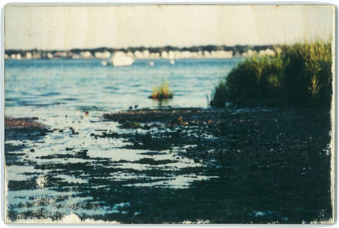 Image of Jess Repose's Slow Photography: Marsh