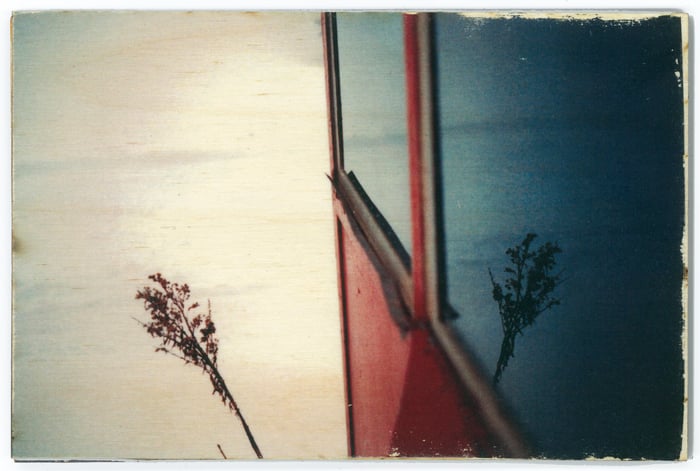 Image of Jess Repose's Slow Photography: Remnant