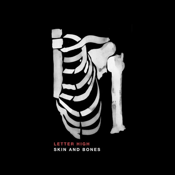 Image of 'Skin and Bones' CD